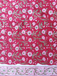 Sanganeri Cotton Suit Set - Red