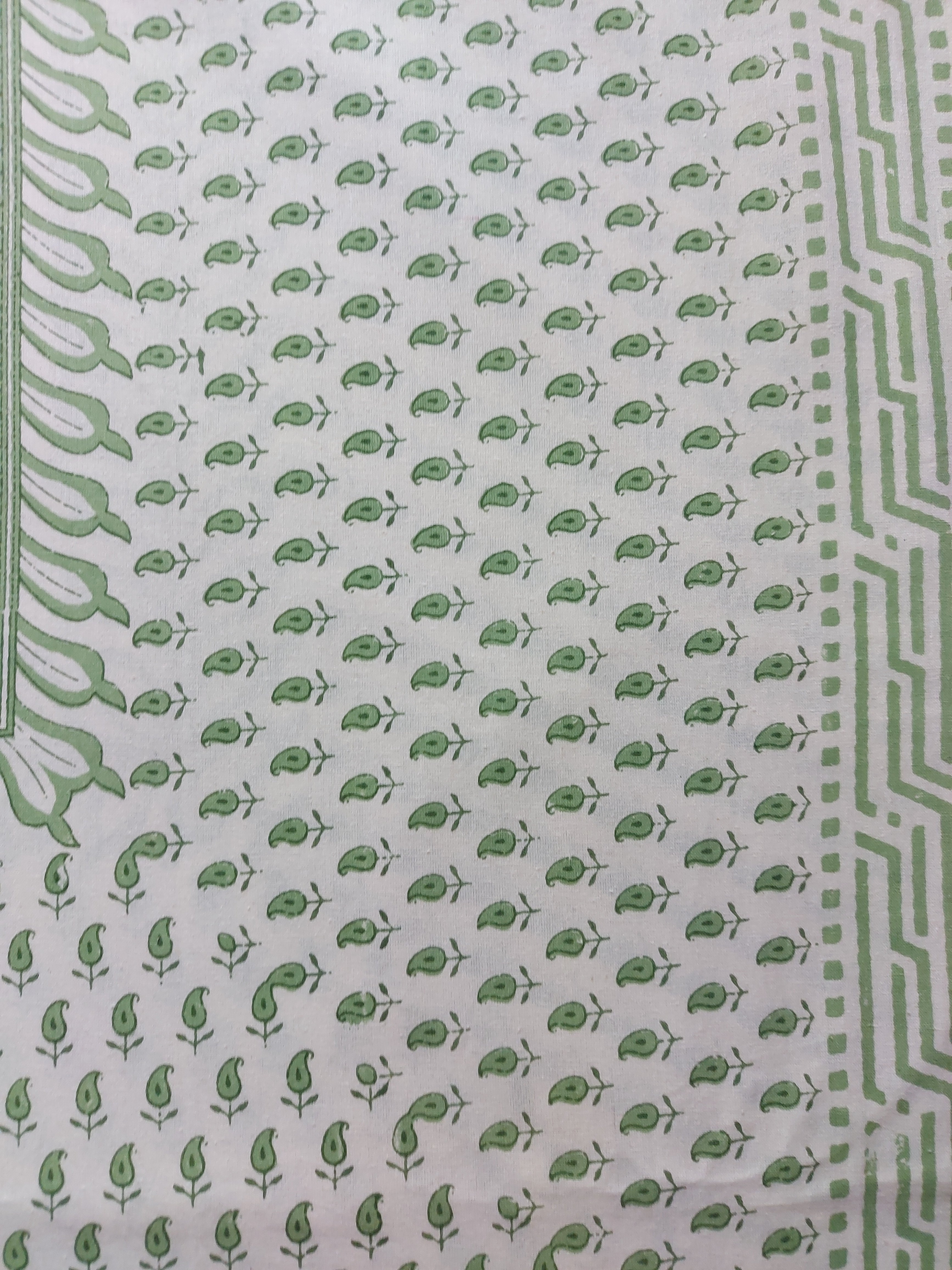 Baagh Double Bedsheet - Peach