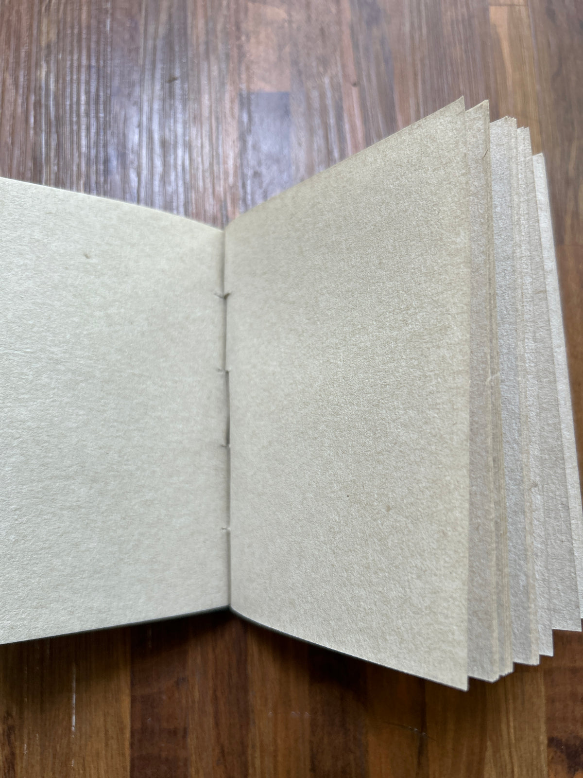 Pocket Diary - Red
