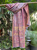 Kashmiri Stole-cum-Shawl